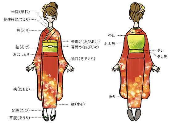 着物の名称「半襟（半衿）、伊達衿（だてえり）、衿（えり）、袖（そで）、おはしょり、袂（たもと）、足袋（たび）、帯揚げ（おびあげ）、帯締め（おびじめ）、袖口（そでぐち）、裾（すそ）、草履（ぞうり）、帯山、お太鼓、振り、タレ、タレ先」